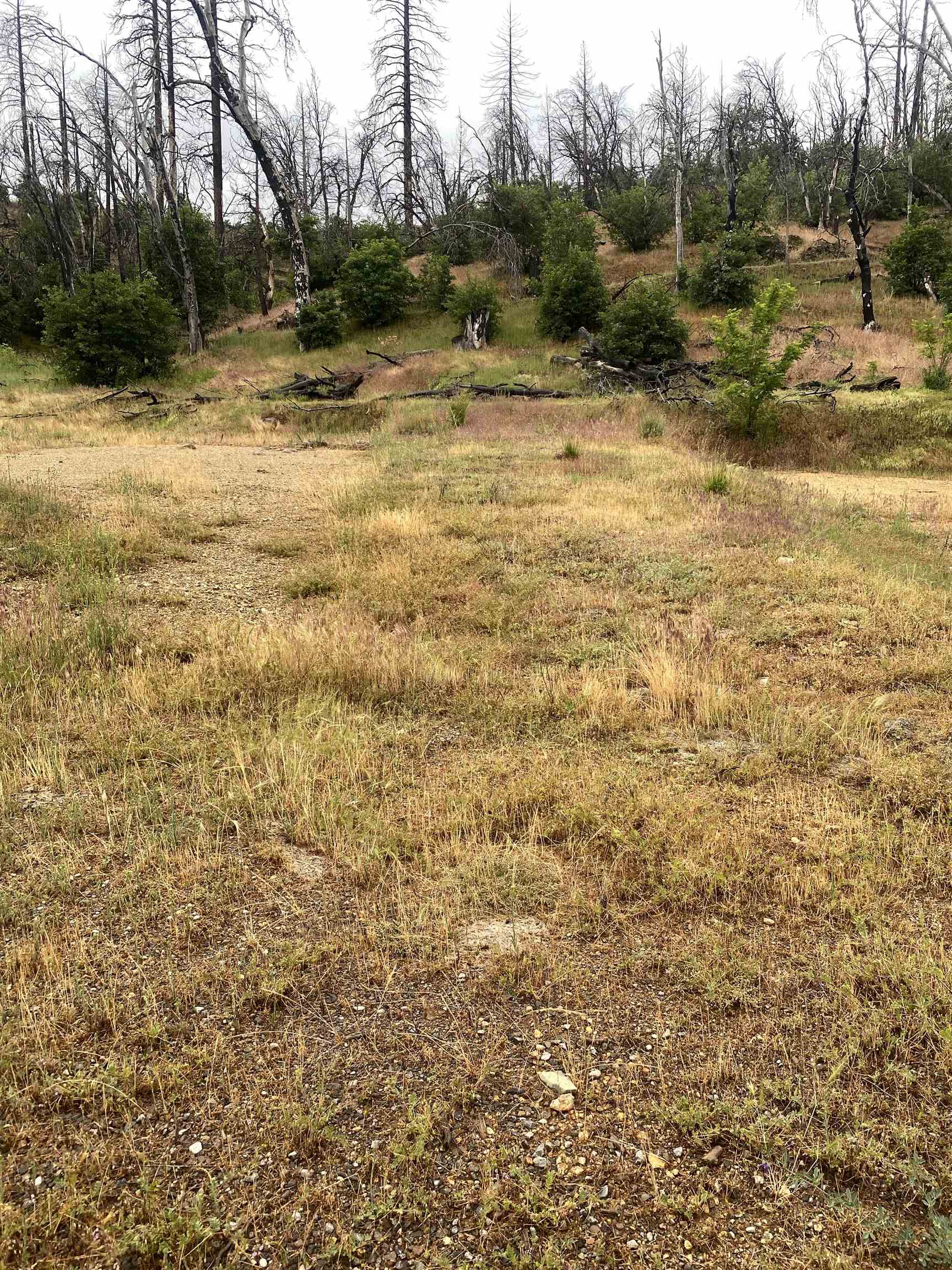 Land in Greenville 2