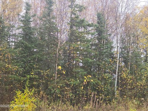 L4 B1 Brenden Boulevard, Copper Center, AK, 99573 | Card Image