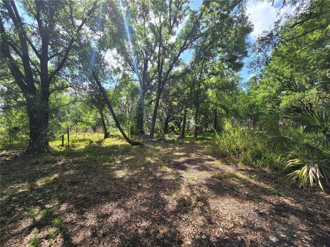 265 Corbett Rd, House other with 4 bedrooms, 3 bathrooms and null parking in LITHIA FL | Image 25