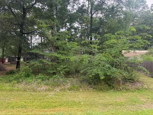 125 Trinidad Lane, Point Blank, TX, 77364 | Card Image
