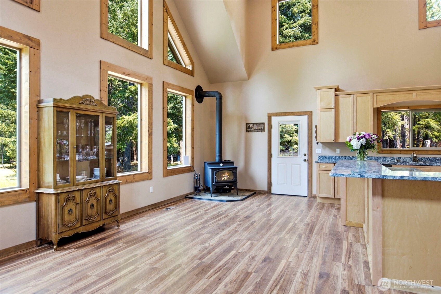 Residential in Trout Lake 4