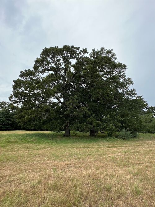 TBD County Road 3515, Dike, TX, 75437 | Card Image