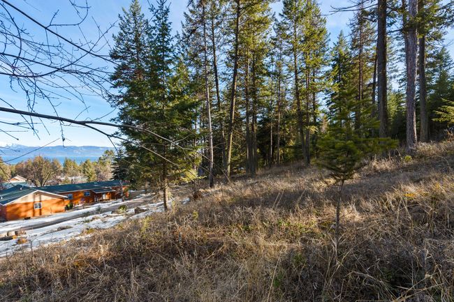 393 Skookum Rd, Home with 0 bedrooms, 0 bathrooms and null parking in Lakeside MT | Image 7