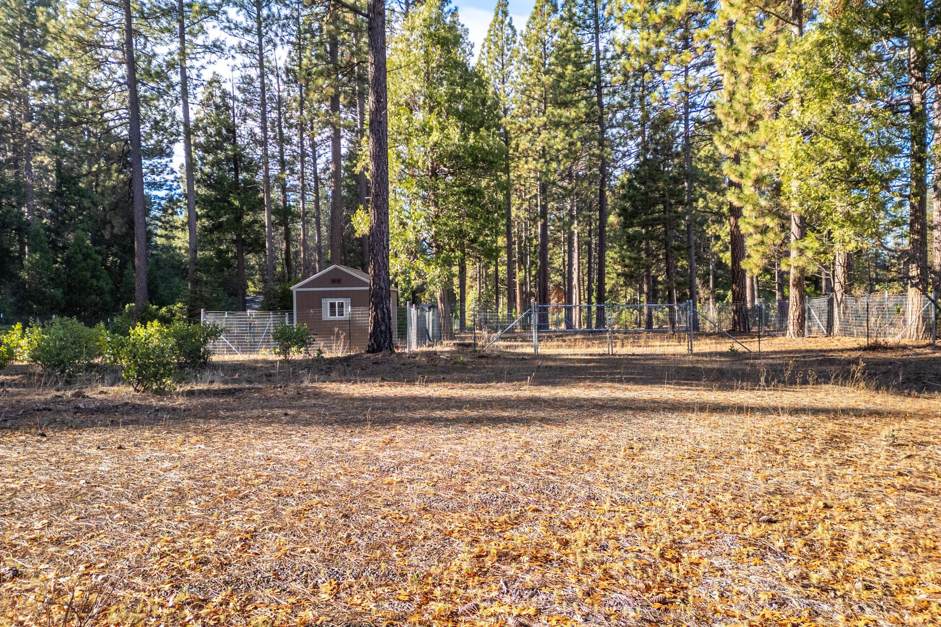 Land in Burney 3