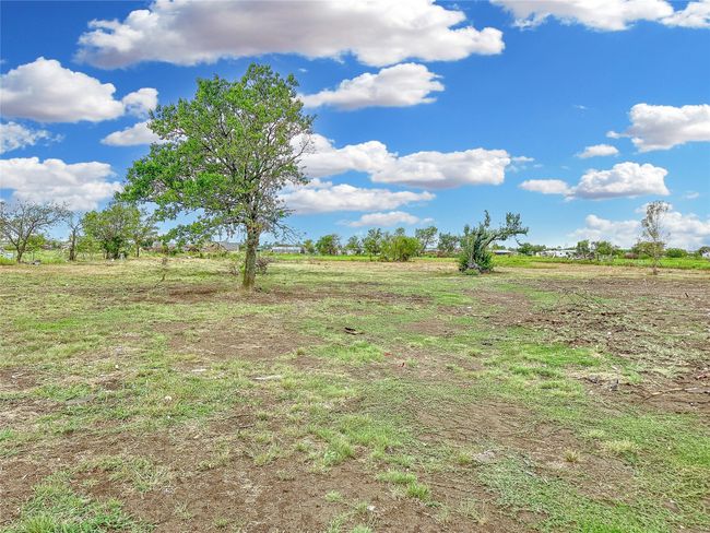 View of local wilderness with a rural view | Image 6