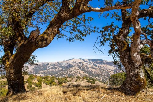 7721 Simmerly Rd, Laytonville, CA, 95454 | Card Image