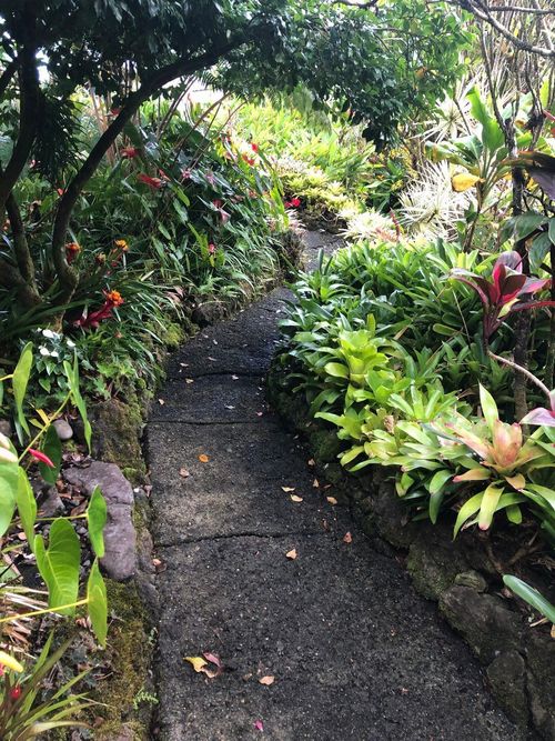 725 Nahiku Rd, Hana, HI, 96713 | Card Image