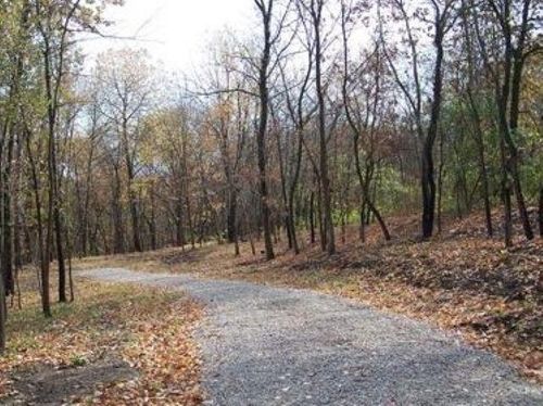 Lot #6 Thirty Foot Trail Road, Oglesby, IL, 61348 | Card Image