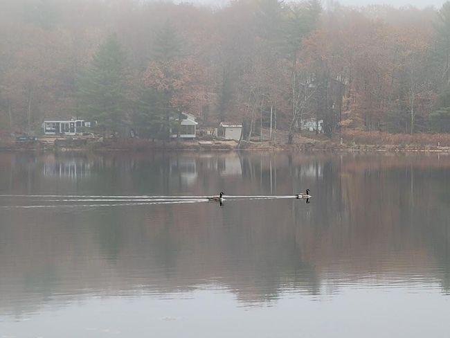 72 - 61 Canterbury Shore Drive, Home with 0 bedrooms, 0 bathrooms and null parking in Canterbury NH | Image 16