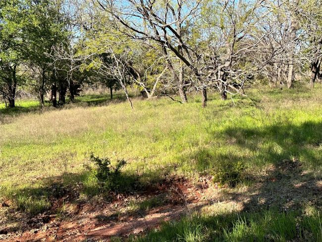 Lot 13 Cr 127, Home with 0 bedrooms, 0 bathrooms and null parking in Carlton TX | Image 18