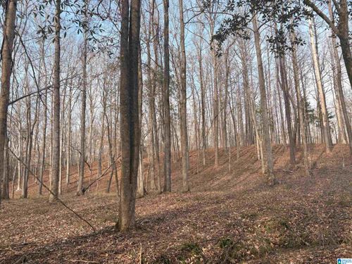 100-000002 Truman Aldrich Parkway, WEST BLOCTON, AL, 35184 | Card Image