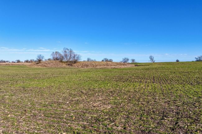 View of grassy yard with a rural view | Image 5