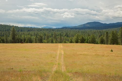 4110 Cemetery, Tract B Rd, Springdale, WA, 99137 | Card Image