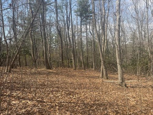 TBD Oak Valley Ln, Galax, VA, 24333 | Card Image