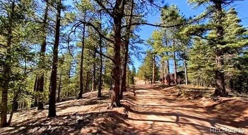 130 Rosita Dr, Rye, CO, 81069 | Card Image