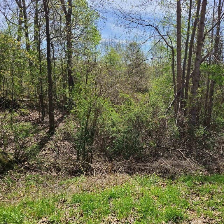 Land in Hamilton