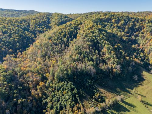 TBD Lick Ridge Rd Ne, Check, VA, 24072 | Card Image