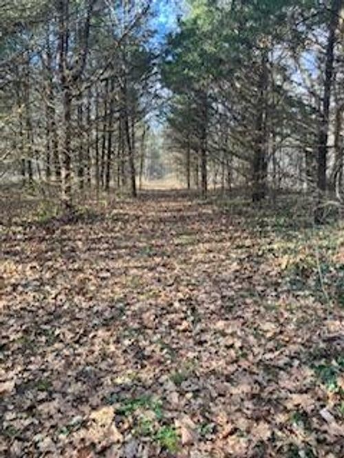 Tbd E Farm Road 36, Pleasant Hope, MO, 65725 | Card Image