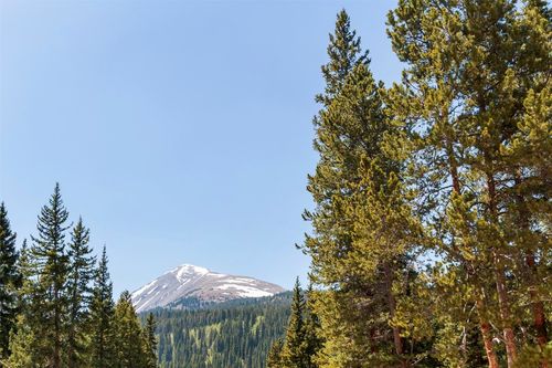 316 Tordal Way, BRECKENRIDGE, CO, 80424 | Card Image