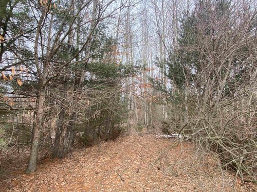 Lot 33 Scenic Hills Dr, Williamsburg, MI, 49690 | Card Image