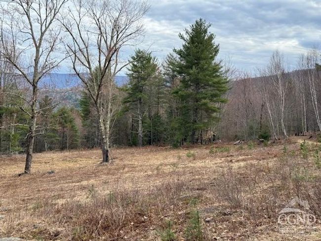 0 Campbell Rd, Home with 0 bedrooms, 0 bathrooms and null parking in Windham NY | Image 20