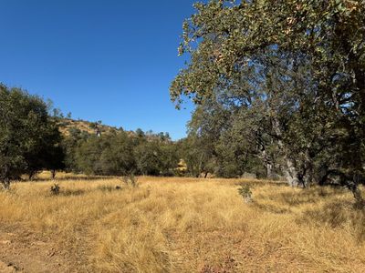 1 Bear Valley Rd., Home with 0 bedrooms, 0 bathrooms and null parking in Mariposa CA | Image 1