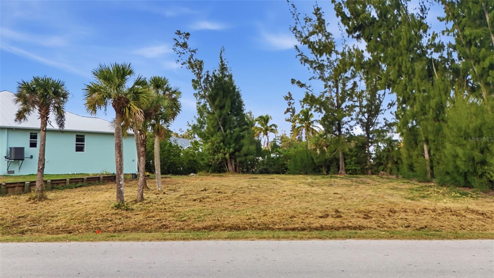 Land in PUNTA GORDA