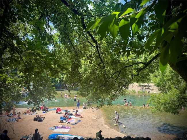 Take the dogs to Barkin' Springs! | Image 15