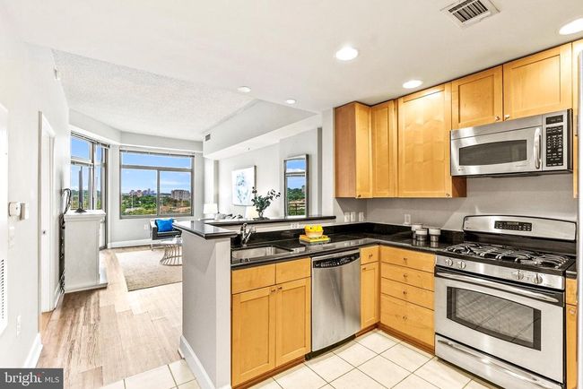 UNIT-605W - 3600 S Glebe Rd, Condo with 1 bedrooms, 1 bathrooms and null parking in ARLINGTON VA | Image 4