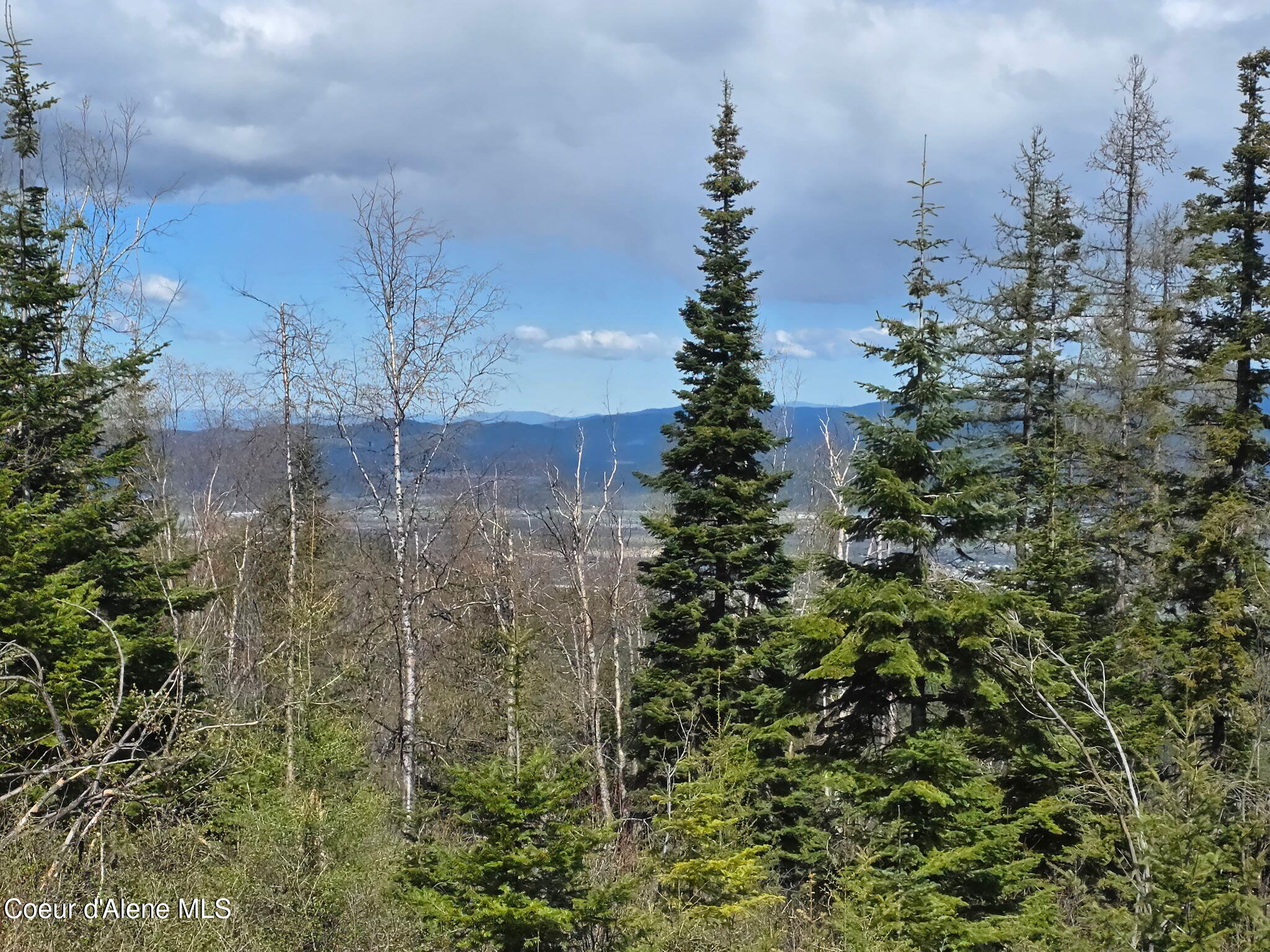 Land in Post Falls 3