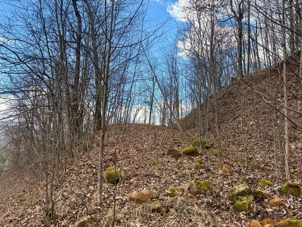 Land in Franklin 4