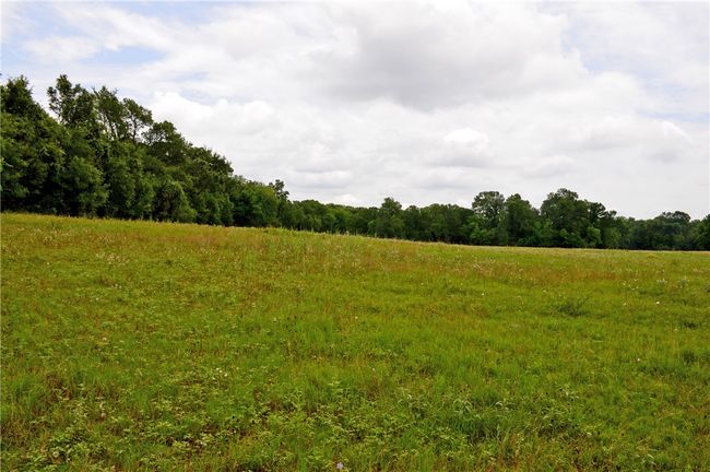 View of wooded area featuring a view of rural / pastoral area | Image 29