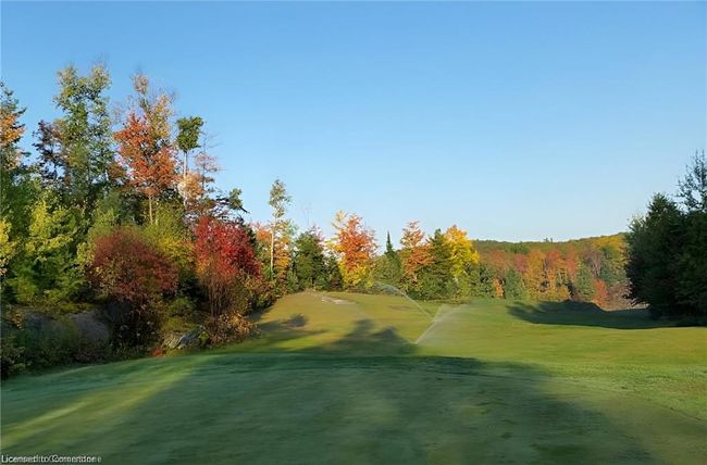 2937 Old Barrys Bay Rd, House other with 0 bedrooms, 0 bathrooms and 22 parking in Madawaska Valley ON | Image 21
