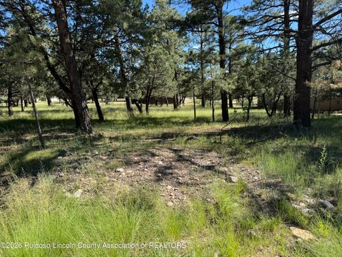 Lot 6 Mira Monte Road, Alto, NM, 88312 | Card Image