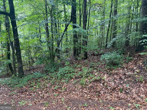 260-0 Arrow Ln, Lavonia, GA, 30553 | Card Image