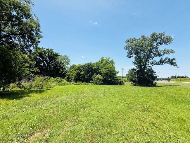 View of green lawn | Image 20