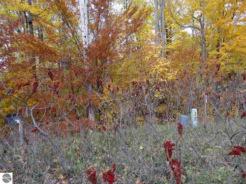 Lot 80 Eden St, Kingsley, MI, 49649 | Card Image