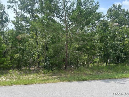 1 Cosmos Ct E, Homosassa, FL, 34446-5328 | Card Image