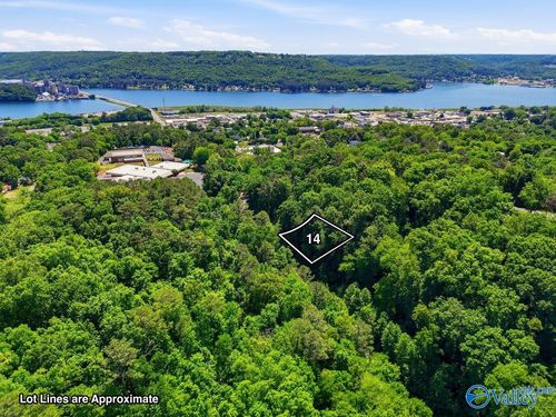 Lot 14 Lusk St, Guntersville, AL, 35976 | Card Image