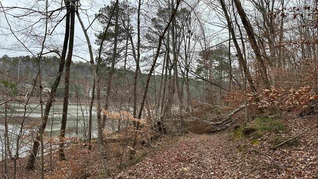 Lot 8 County Road 106, Home with 0 bedrooms, 0 bathrooms and null parking in LOGAN AL | Image 6