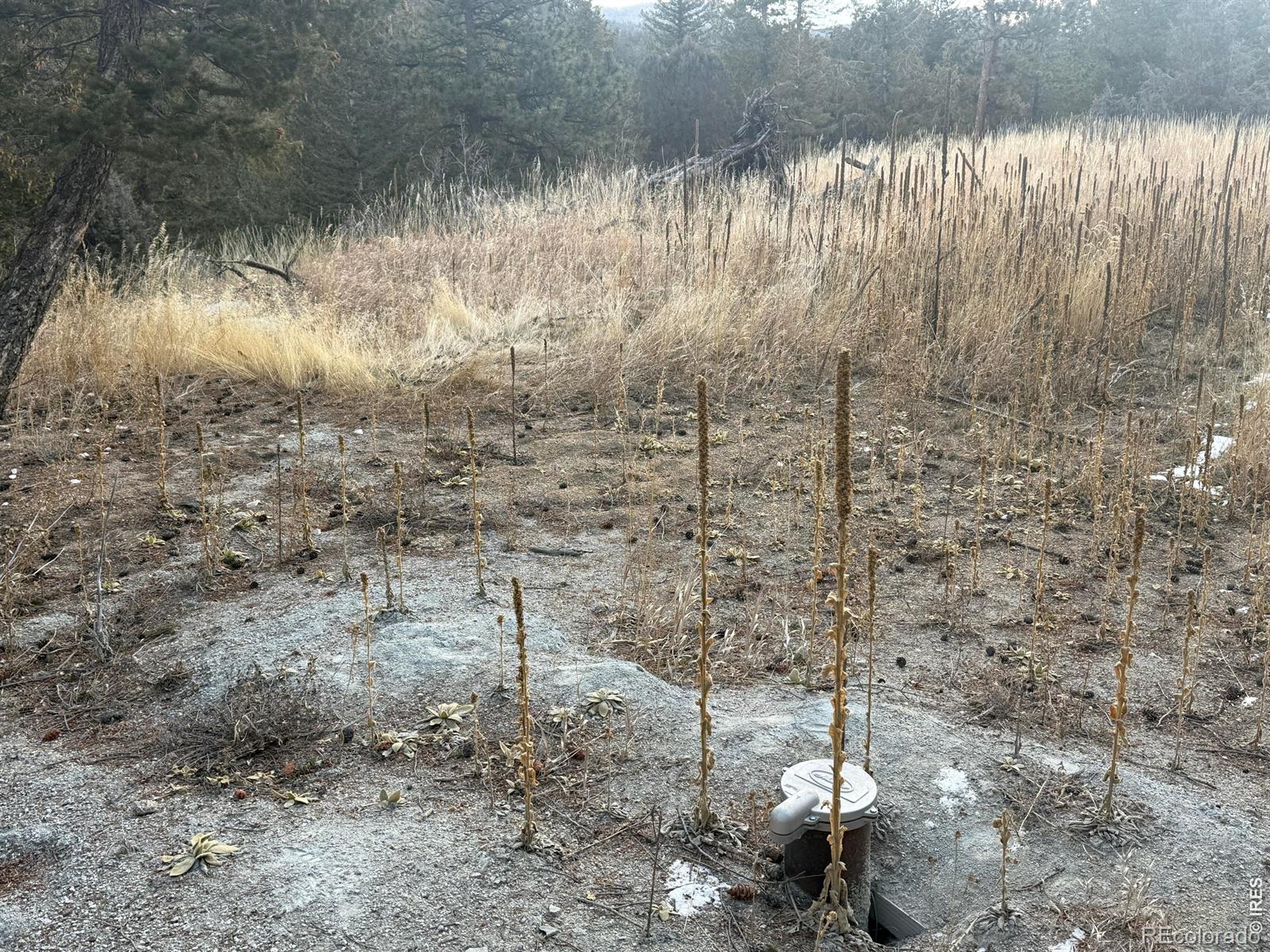 Land in Boulder 5