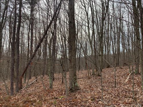 0 Christian Mill Creek Rd, Amherst, VA, 24521 | Card Image