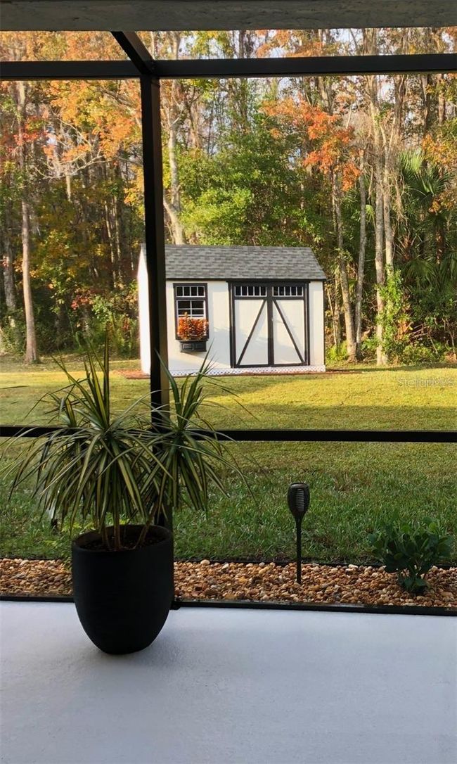 10880 Cory Lake Dr, House other with 3 bedrooms, 2 bathrooms and null parking in TAMPA FL | Image 35