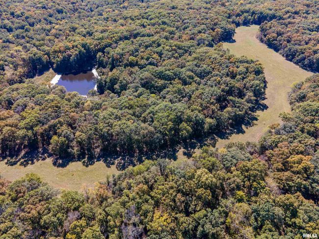 27232 215 Th St, Home with 5 bedrooms, 4 bathrooms and null parking in Canton MO | Image 27