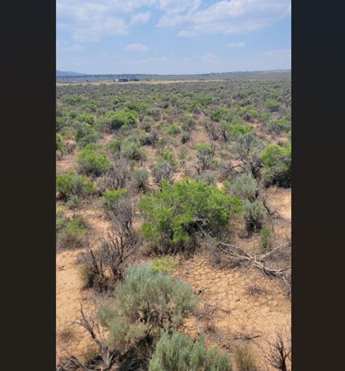 7305 Pacific Ave, Cedar City, UT, 84721 | Card Image