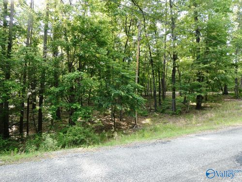Lot 49 Harbor Loop, Jasper, AL, 35504-3552 | Card Image