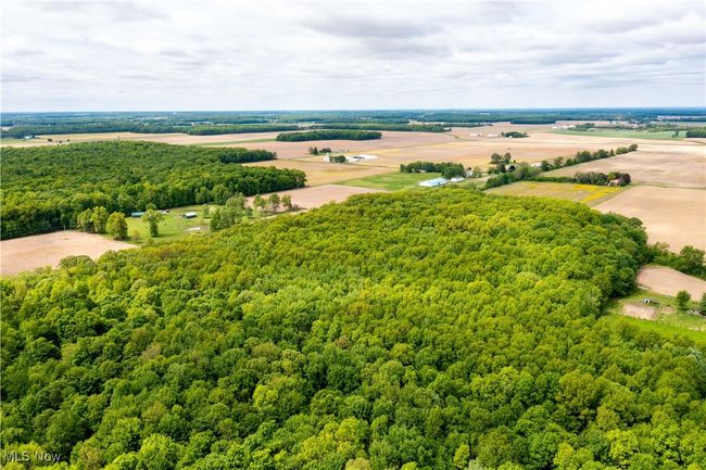 Overview of rural landscape with a heavily wooded area | Image 6