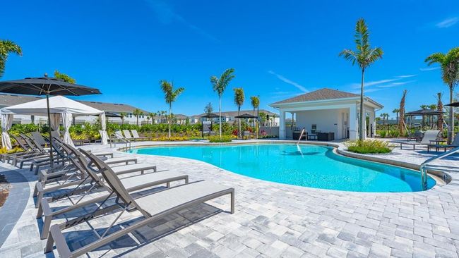 The Townhomes at Azario Lakewood Ranch Community Amenities | Image 16
