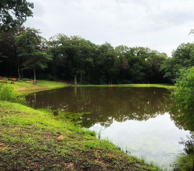 1619 Bloomfield Rd, House other with 4 bedrooms, 3 bathrooms and null parking in Valley View TX | Image 29