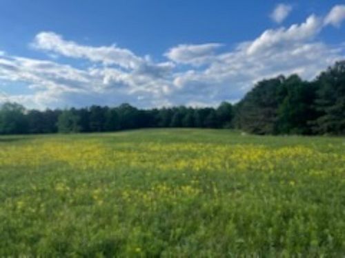 001 Hindman Rd, Hodges, AL, 35571 | Card Image